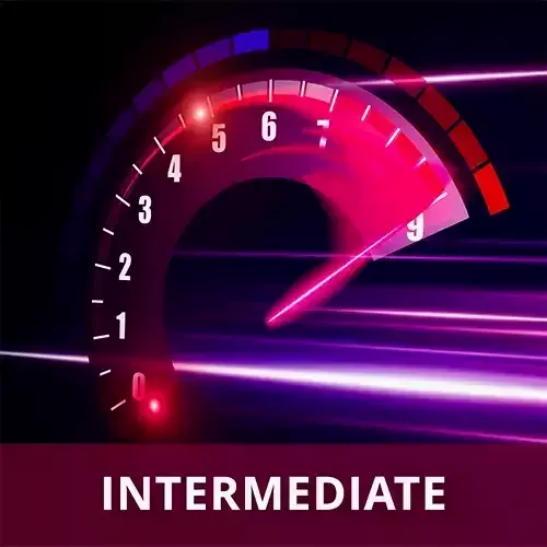 Intermediate Web Performance